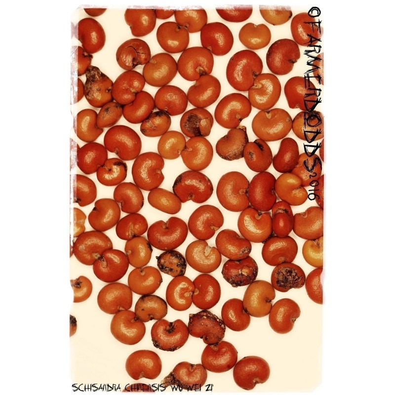 Price: €1.85 - Graines de Baies aux 5 saveurs (Schisandra chinensis) - 