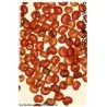 Graines de Baies aux 5 saveurs (Schisandra chinensis)