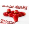 Miracle Fruit Seeds (Synsepalum dulcificum) | €4.95
