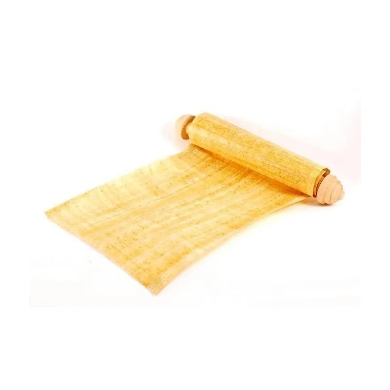 Papyrus Sedge, Paper Reed Seeds (Cyperus papyrus)
