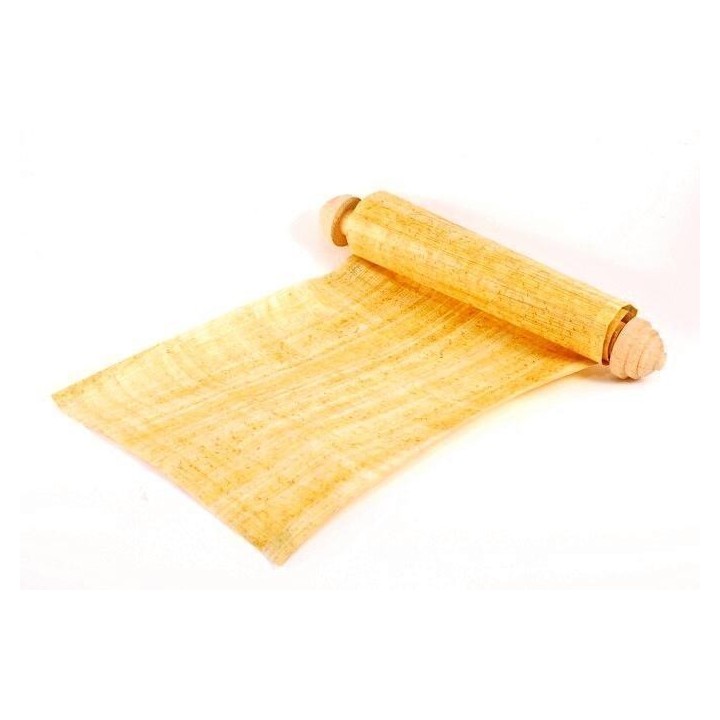 Papyrus Sedge, Paper Reed Seeds (Cyperus papyrus) - 2.115