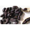 Price: €2.25 - Sementes de Amendoim preto (Arachis hypogaea) - Seeds Gallery