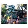 Price: €2.85 - Semillas de Repollo gigante de Jersey (Brassica oleracea var. Longata) - 