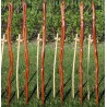 Price: €2.85 - Semillas de Repollo gigante de Jersey (Brassica oleracea var. Longata) - 