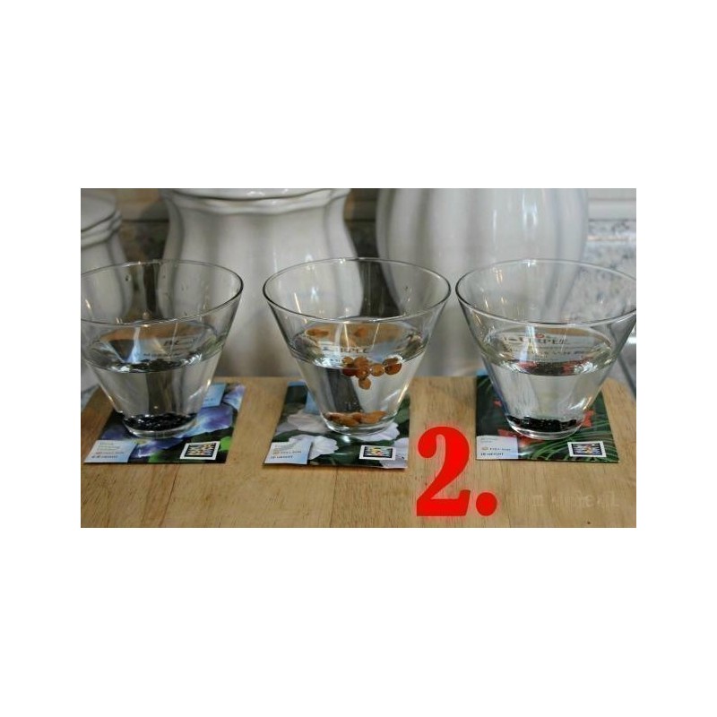 Σπορά Passiflora Σπόροι