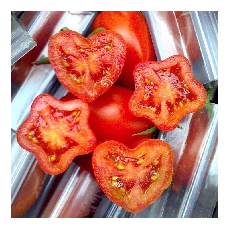 Price: €15 - Stampo per frutta e verdura, A forma di stella, Cambiamento Frutta Forma - 
