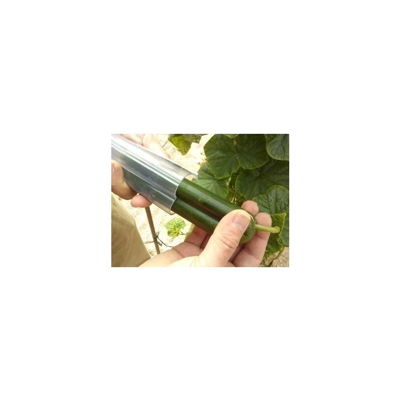 Price: €15 - Moule aux fruits et légumes, forme d'étoile, changement de forme de fruits - 