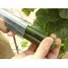 Stampo per frutta e verdura, A forma di stella, Cambiamento Frutta Forma