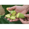 Price: €15 - Obst und Gemüse Form, Stern Form, ändern Sie Früchte Form - 