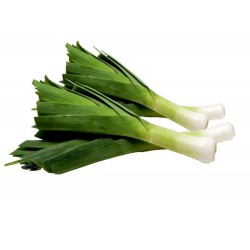 Price: €1.75 - Graines de Poireau ''Kamus'' - 