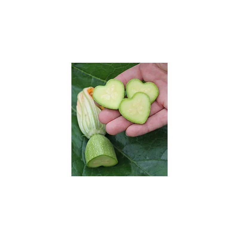Molde de Frutas e Vegetais, Formato de coração, Forma de Frutas de Mudança