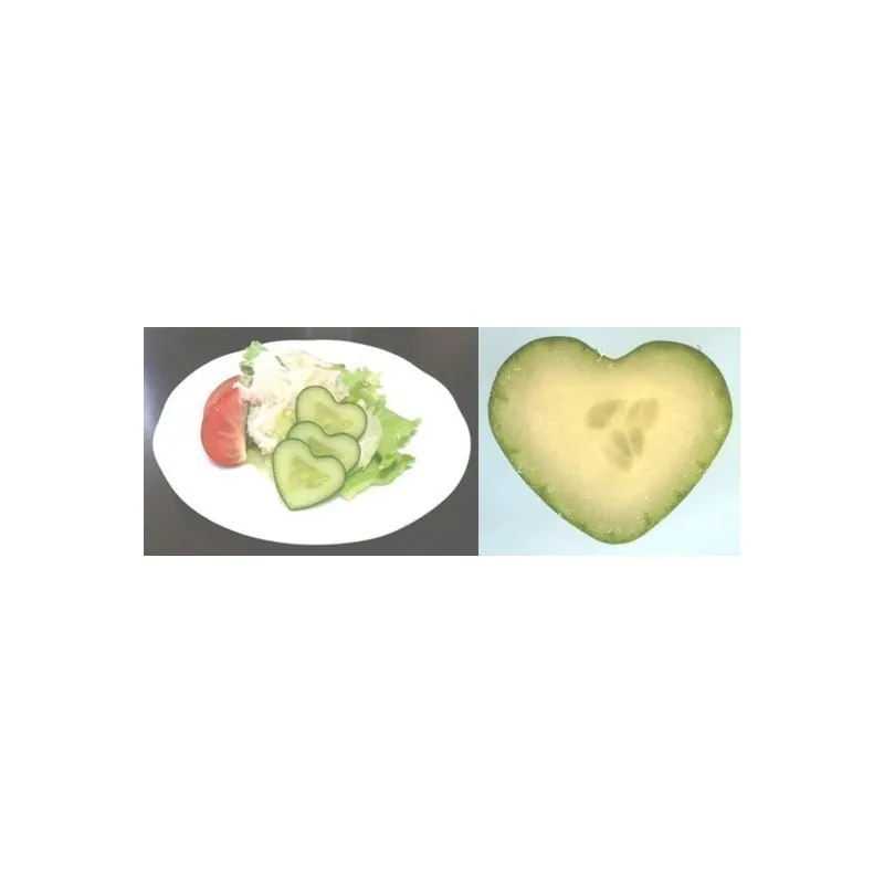 Fruit and Vegetable Mould, Heart Shape, Change Fruits Shape