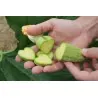 Obst und Gemüse Form, Herzform, ändern Sie Früchte Form