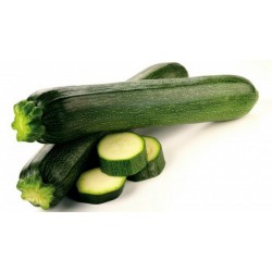 Price: €2.1 - Frön Zucchini Black Beauty - 