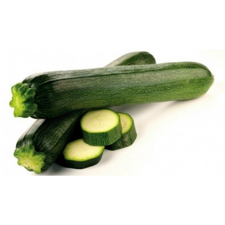 Price: €2.1 - Frön Zucchini Black Beauty -