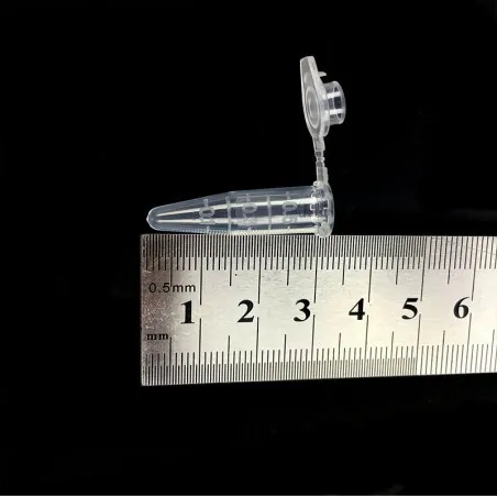 Kunststoff transparenter Reagenzglas mit Deckel 0,5 ml