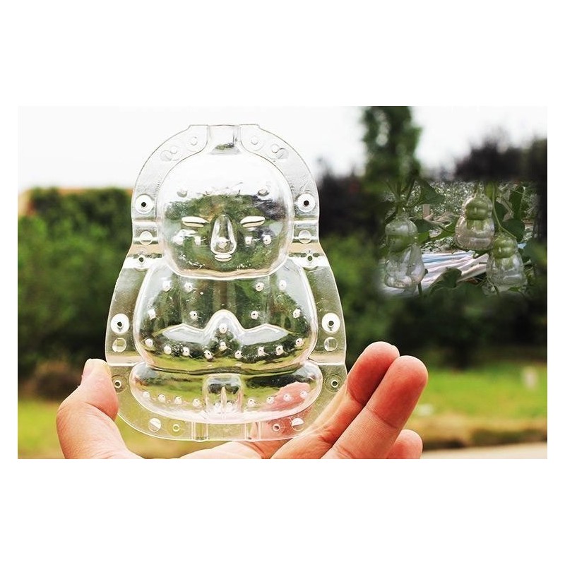 Fruit Mold in the form of Buddha, pear, Muskmelon… | €15.00