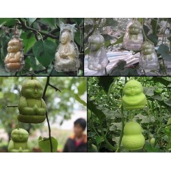 Molde de frutas na forma de Buda, pêra, melão