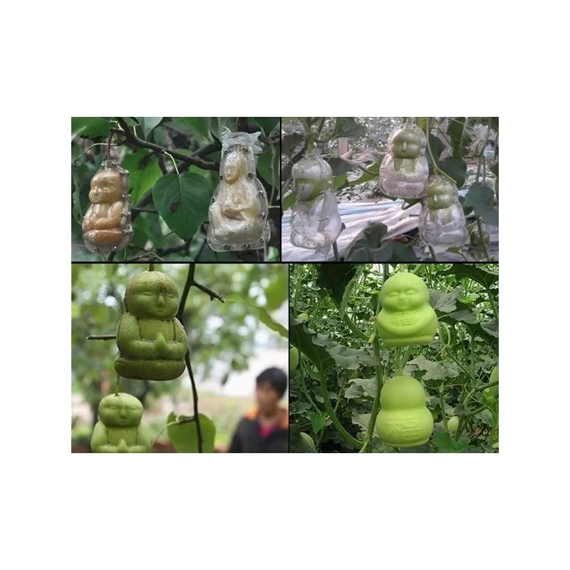 Stampo di frutta sotto forma di Buddha, pera, melone