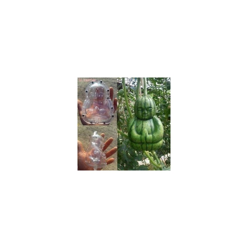 Stampo di frutta sotto forma di Buddha, pera, melone | 15,00 €