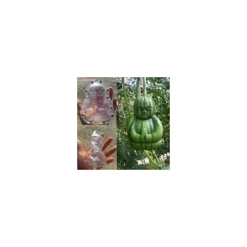 Stampo di frutta sotto forma di Buddha, pera, melone