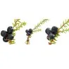 Crowberry, Black Crowberry Seeds (Empetrum nigrum)