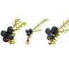 Schwarze Krähenbeere Samen (Empetrum nigrum) | 1,95 €