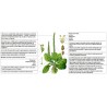 Breitwegerich Samen (Plantago major) | 1,95 €
