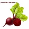 Beetroot Seeds Monika
