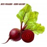 Price: €1.35 - Semillas de Remolacha 'Monika' - 