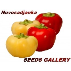 Semi di peperone dolce'' Novosadjanka''