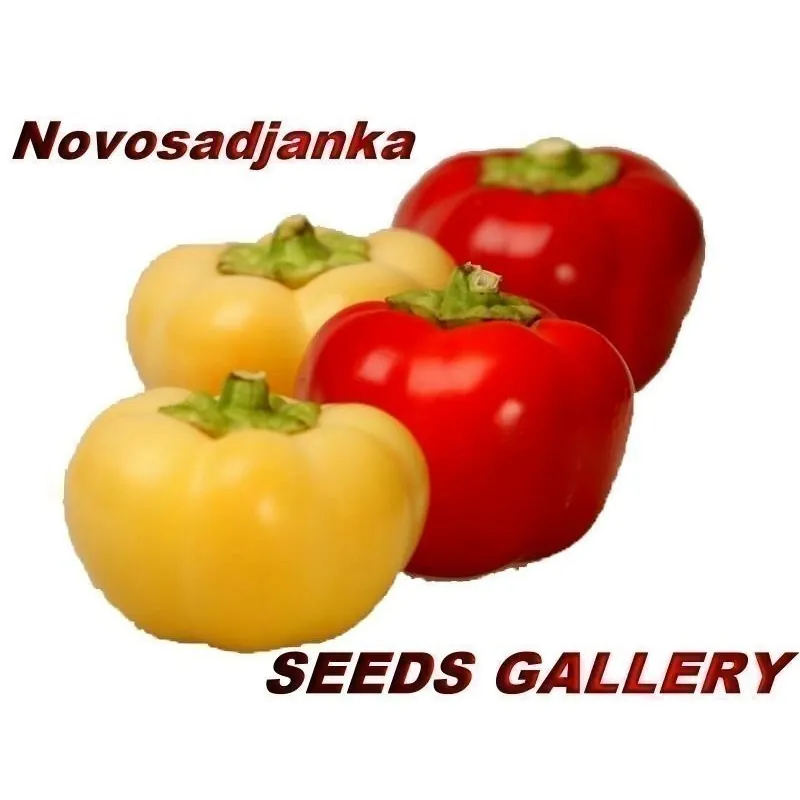 Süßer Paprika Samen ''Novosadjanka''