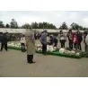 SAKURAJIMA DAIKON Samen - größte Radieschen Welt