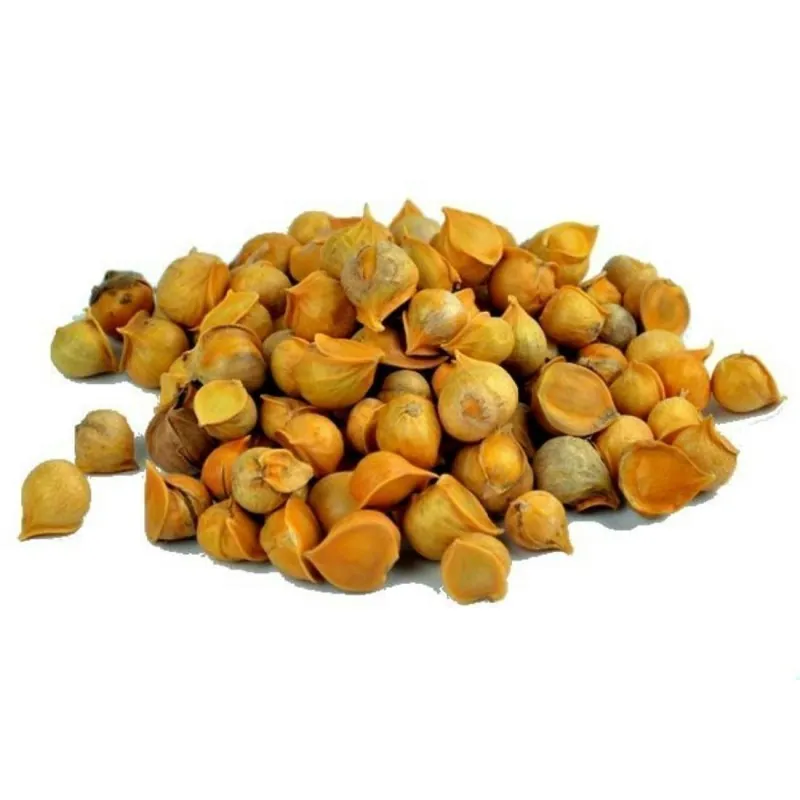 Kashmiri Garlic Seeds (Allium schoenoprasum)