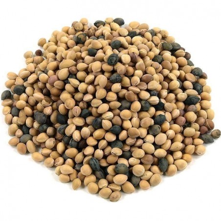 Price: €1.95 - Surkörsbär Fröer (Prunus cerasus) -