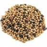 Price: €1.95 - Surkörsbär Fröer (Prunus cerasus) - 