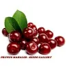 Mahaleb Cseresznye Magvak (Prunus mahaleb)