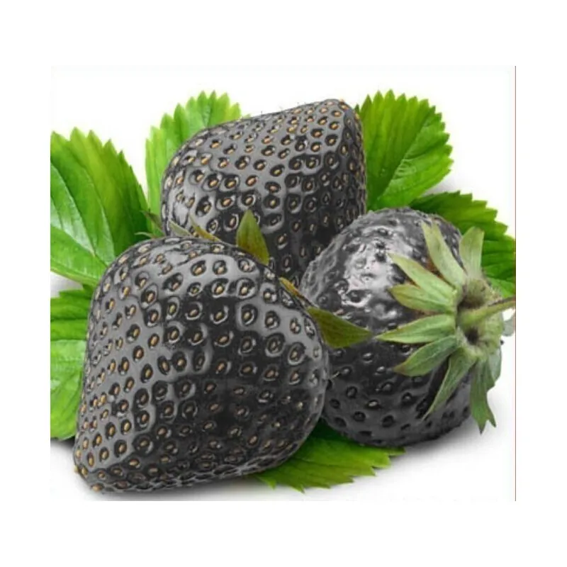 Graines de fraises noires