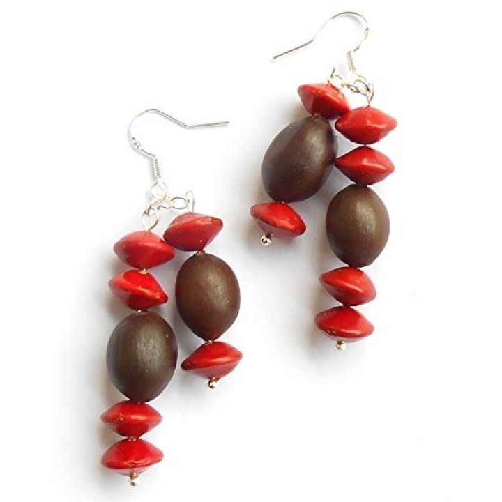 Red Lucky Seed - Red sandalwood Seeds (Adenanthera pavonina) - 2.295