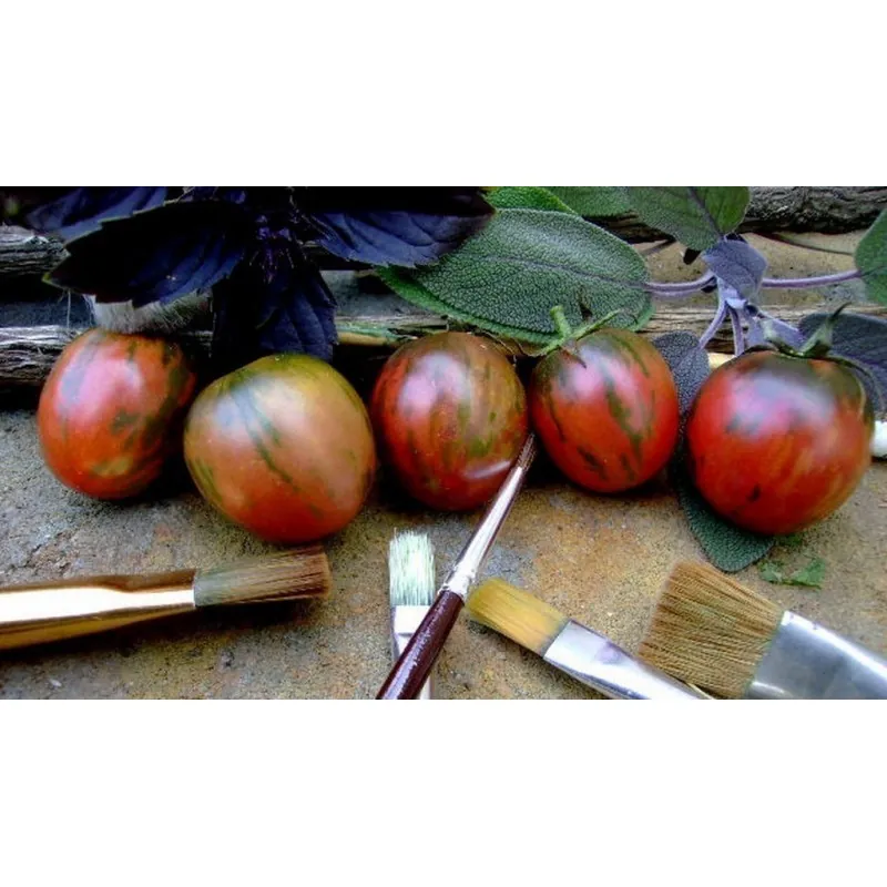 Sementes de tomate Black Vernissage