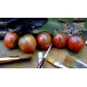 Price: €1.75 - Semi di pomodoro nero di Vernissage - Seeds Gallery