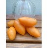 Graines de tomate Tschuchloma