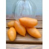 Price: €1.95 - Tschuchloma Tomaten Samen - Seeds Gallery