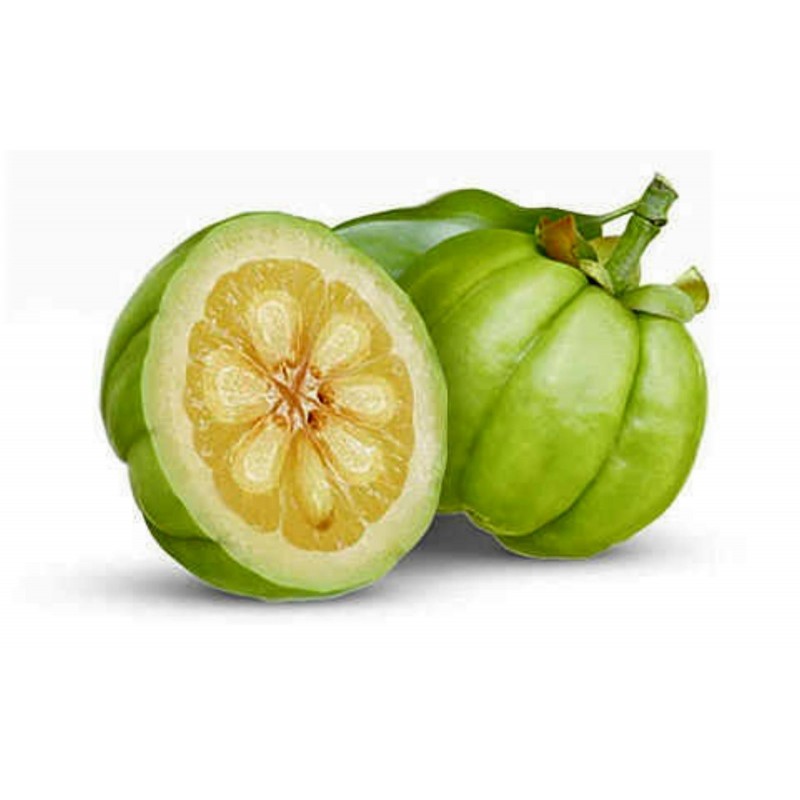 Price: €9 - Garcinia Cambogia Samen - 