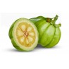 Price: €9 - Garcinia Cambogia Samen - 