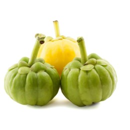 Garcinia Gummi-Gutta - Garcinia Cambogia Seeds - 8.1