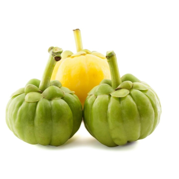 Garcinia Gummi-Gutta - Garcinia Cambogia Seeds - 8.1