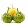 Price: €9 - Garcinia Cambogia Samen - 