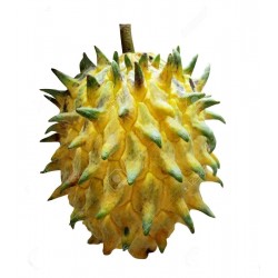 Price: €3.95 - Biriba Fröer (Rollinia deliciosa) - 