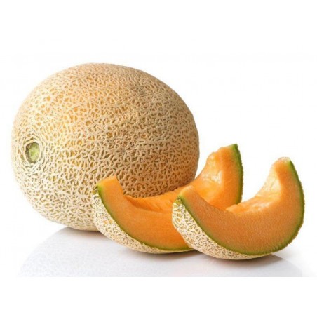 Price: €4.95 - Yubari King Melon Seeds - 